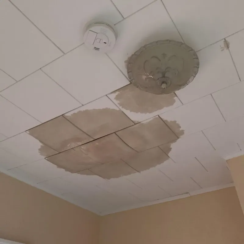 Ceiling Water Damage Repair in De Witt, AR